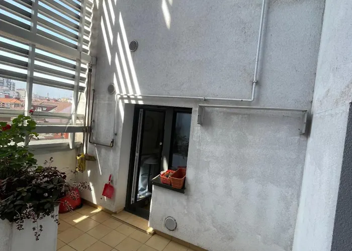 Ezcurdia Iii * Χιχόν